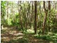 Lowmead QLD 4676