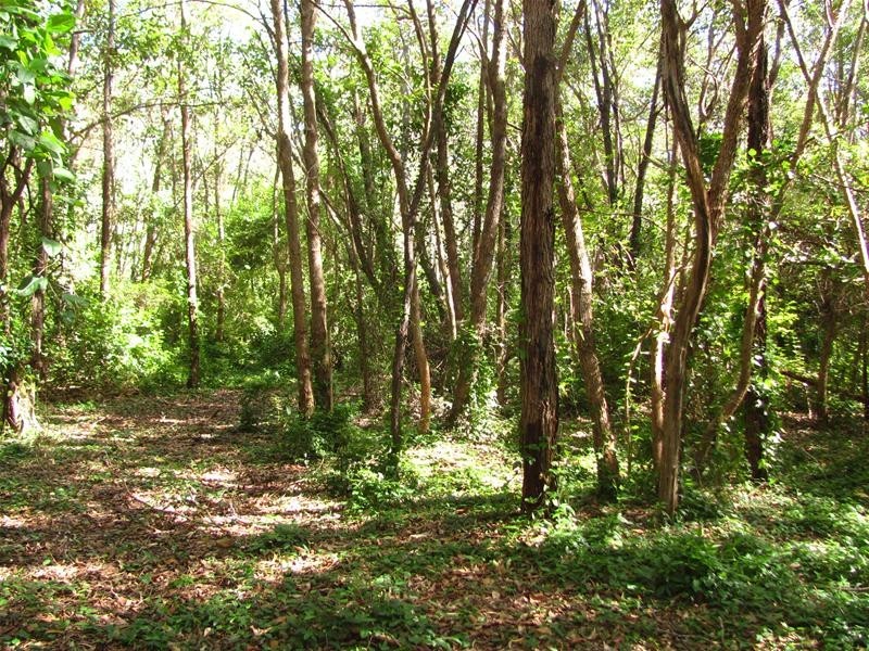 Lowmead QLD 4676