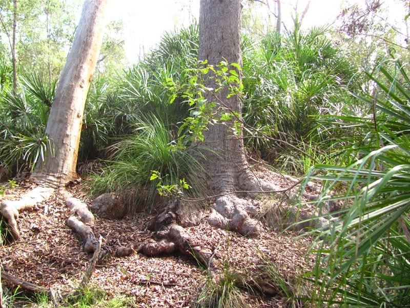 Lowmead QLD 4676