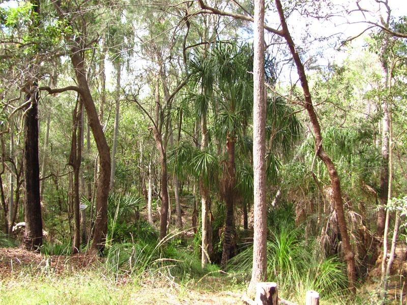 Lowmead QLD 4676