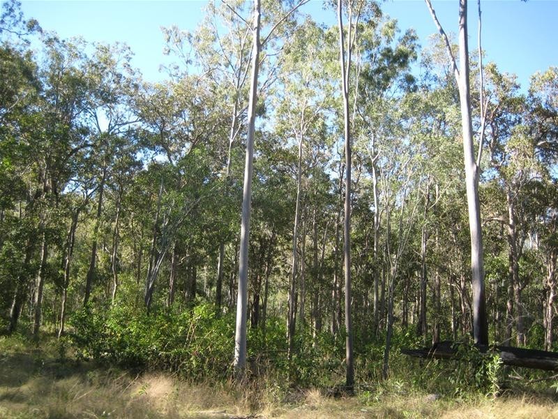 Dallarnil QLD 4621
