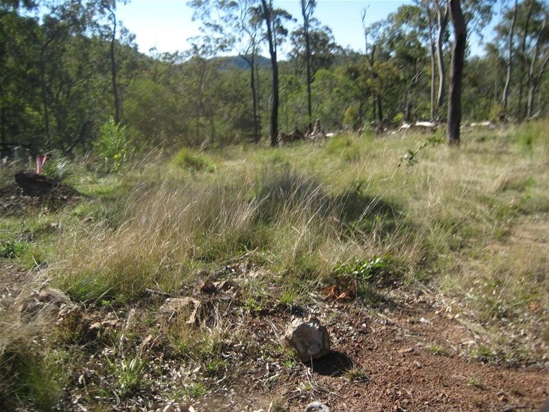Dallarnil QLD 4621