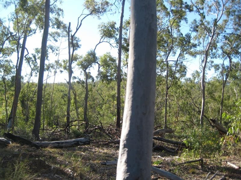 Dallarnil QLD 4621