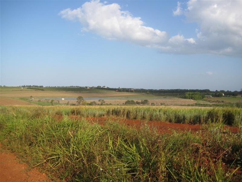 North Isis QLD 4660