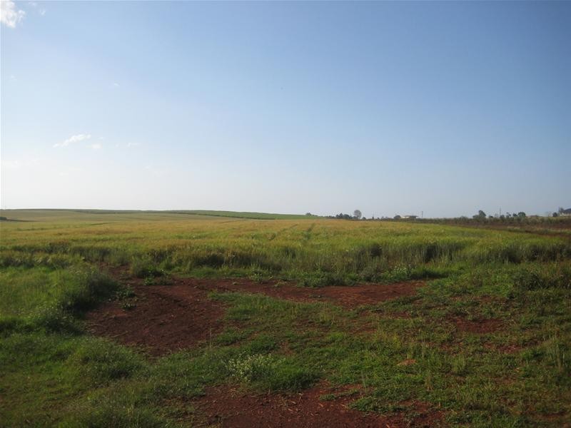 North Isis QLD 4660