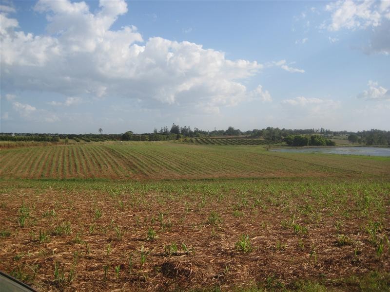 North Isis QLD 4660