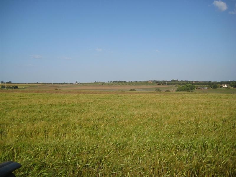 North Isis QLD 4660
