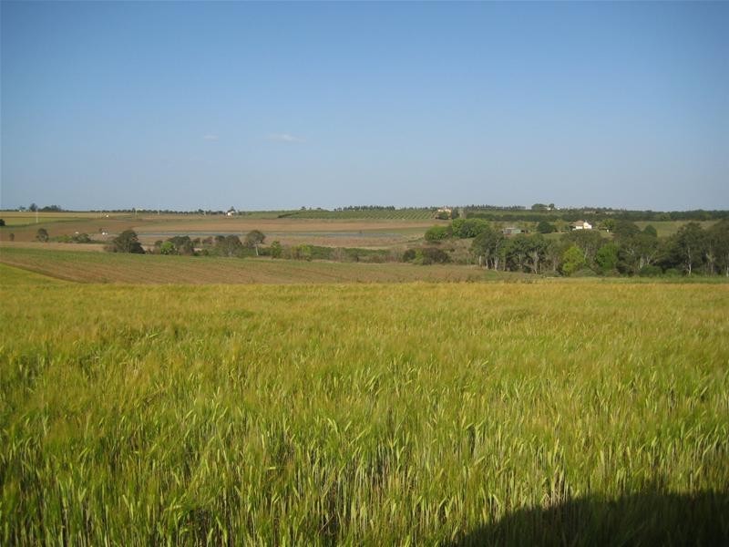 North Isis QLD 4660