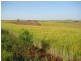 North Isis QLD 4660