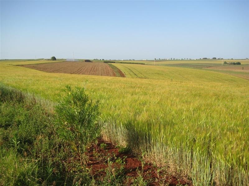 North Isis QLD 4660