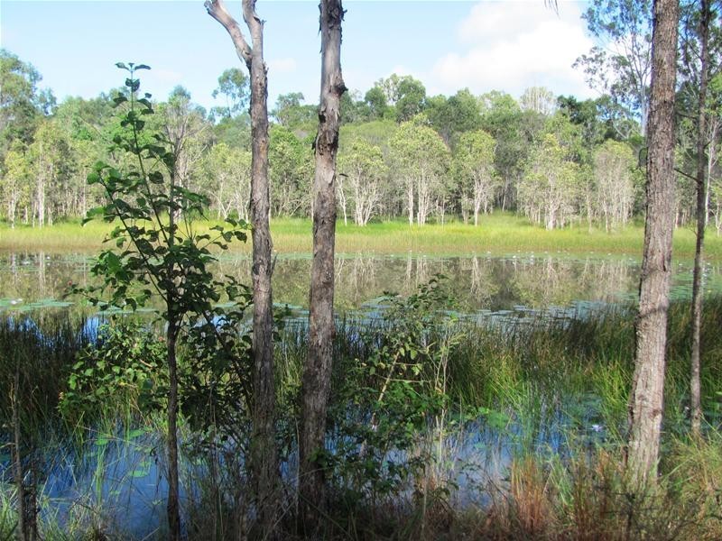 120 Webster Road, Euleilah QLD 4674