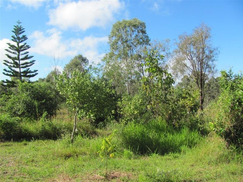 120 Webster Road, Euleilah QLD 4674