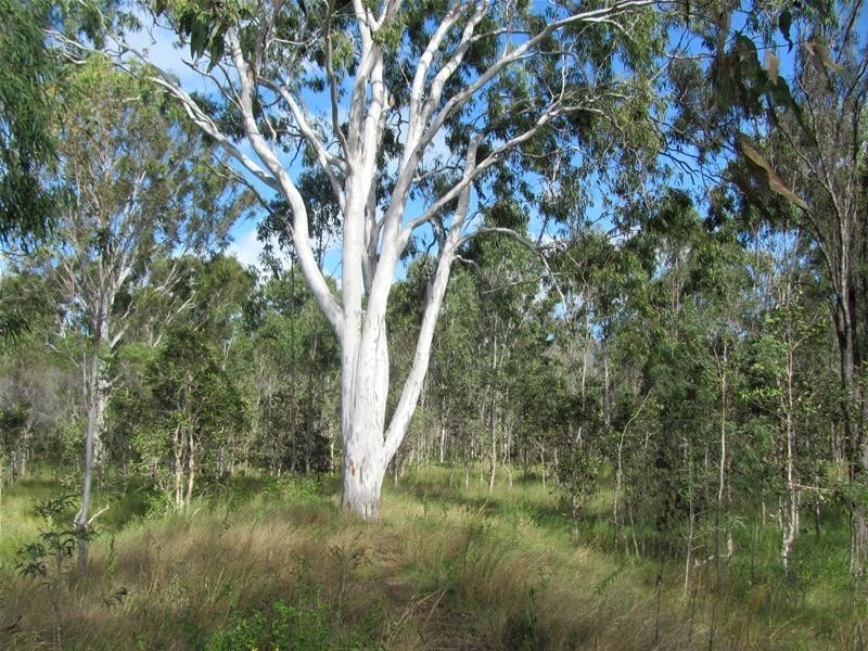 120 Webster Road, Euleilah QLD 4674