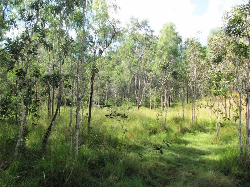 120 Webster Road, Euleilah QLD 4674