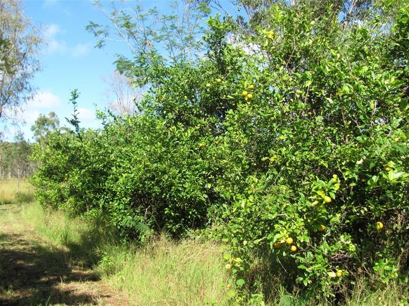 120 Webster Road, Euleilah QLD 4674