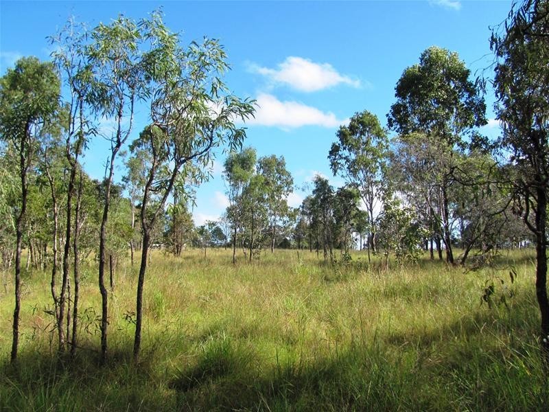 120 Webster Road, Euleilah QLD 4674