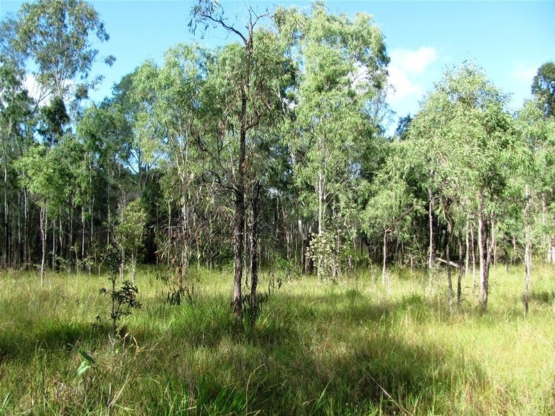 120 Webster Road, Euleilah QLD 4674