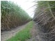Calavos QLD 4670