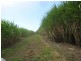 Calavos QLD 4670