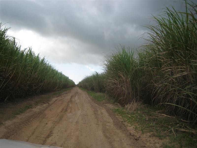 Calavos QLD 4670