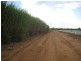 Calavos QLD 4670