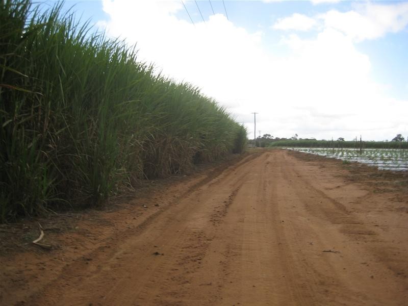 Calavos QLD 4670