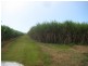 Calavos QLD 4670