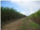 Calavos QLD 4670