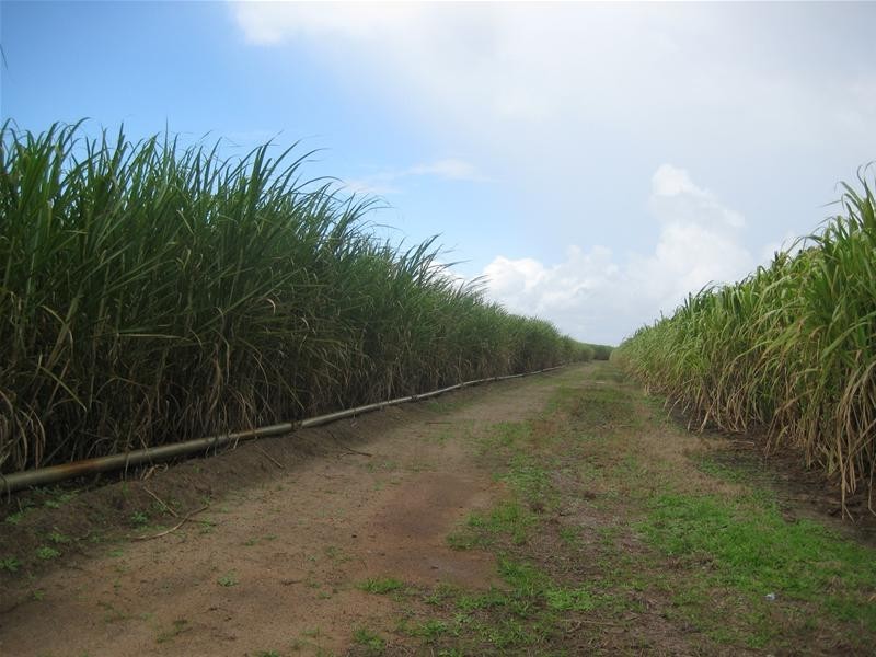 Calavos QLD 4670