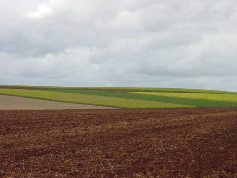 North Isis QLD 4660