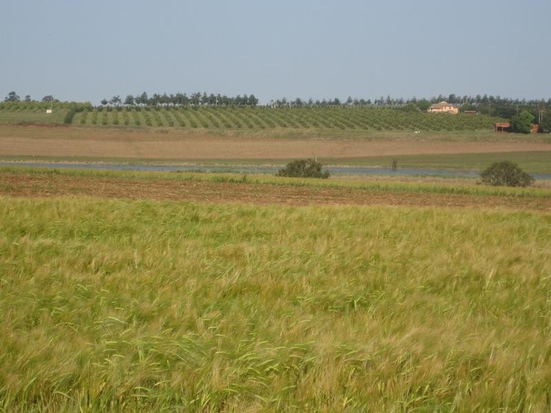 North Isis QLD 4660