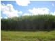 Huxley Rd, North Isis QLD 4660