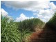 Huxley Rd, North Isis QLD 4660