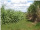Huxley Rd, North Isis QLD 4660