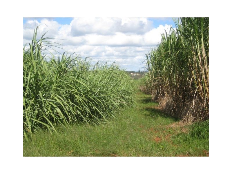 Huxley Rd, North Isis QLD 4660