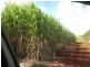 Huxley Rd, North Isis QLD 4660
