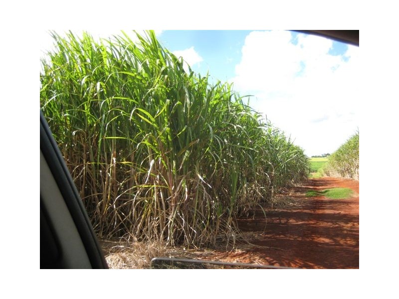 Huxley Rd, North Isis QLD 4660