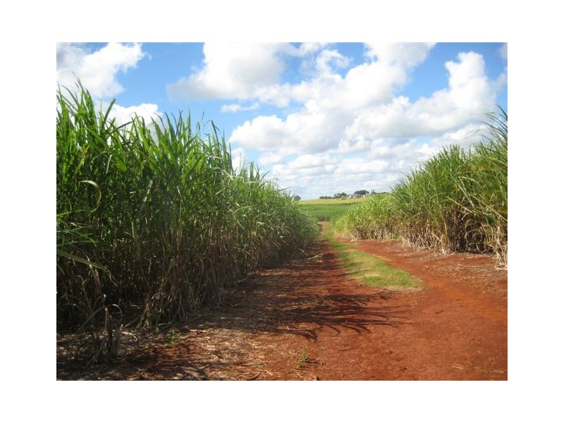Huxley Rd, North Isis QLD 4660