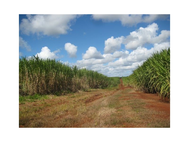 Huxley Rd, North Isis QLD 4660