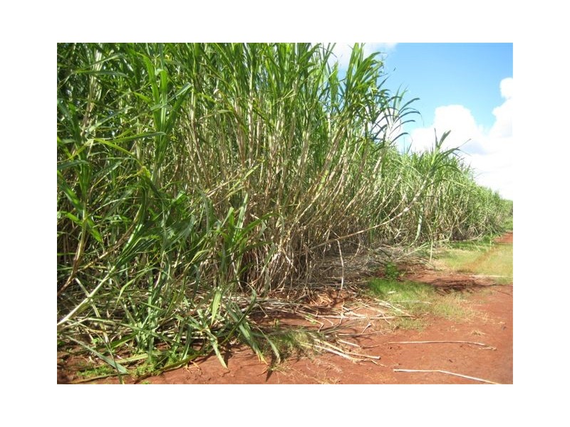 Huxley Rd, North Isis QLD 4660