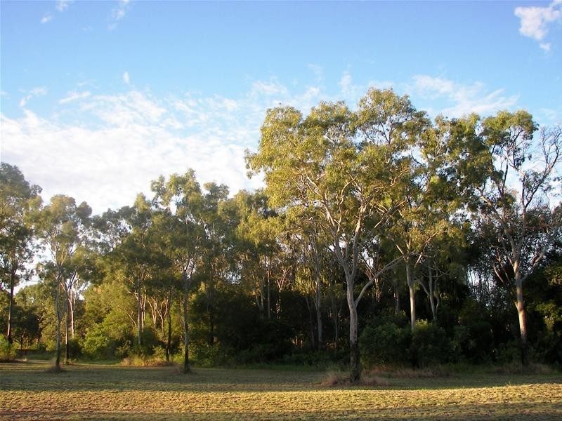 21 Malvern Drive, Moore Park Beach QLD 4670