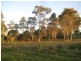 South Kolan QLD 4670