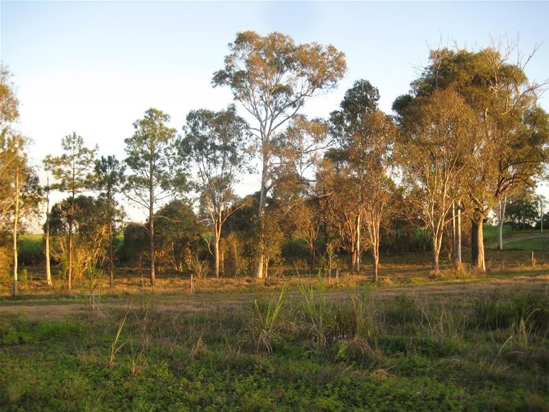 South Kolan QLD 4670