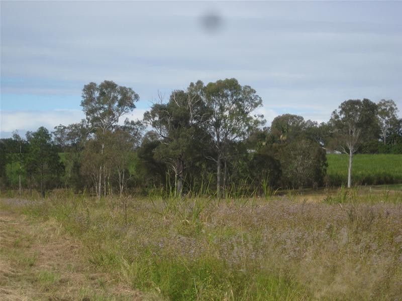 South Kolan QLD 4670