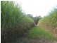 South Kolan QLD 4670
