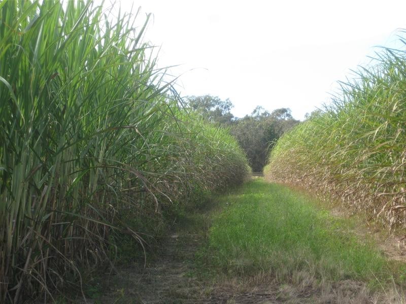 South Kolan QLD 4670