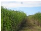 South Kolan QLD 4670
