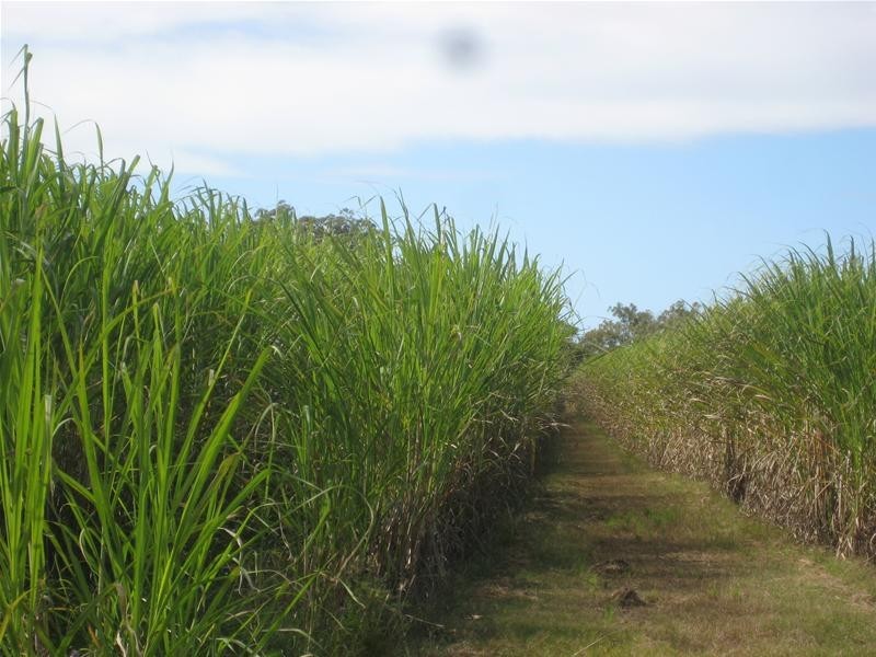 South Kolan QLD 4670