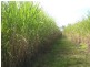 South Kolan QLD 4670