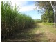 South Kolan QLD 4670
